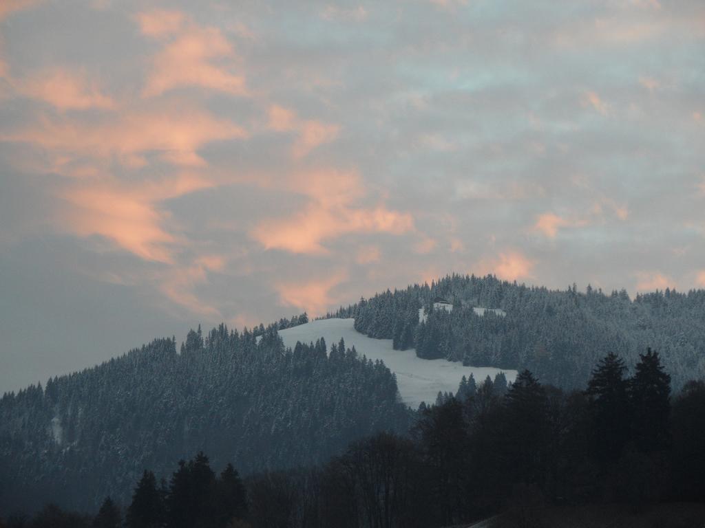 Ferienwohnung Lilly Dornbirn Buitenkant foto