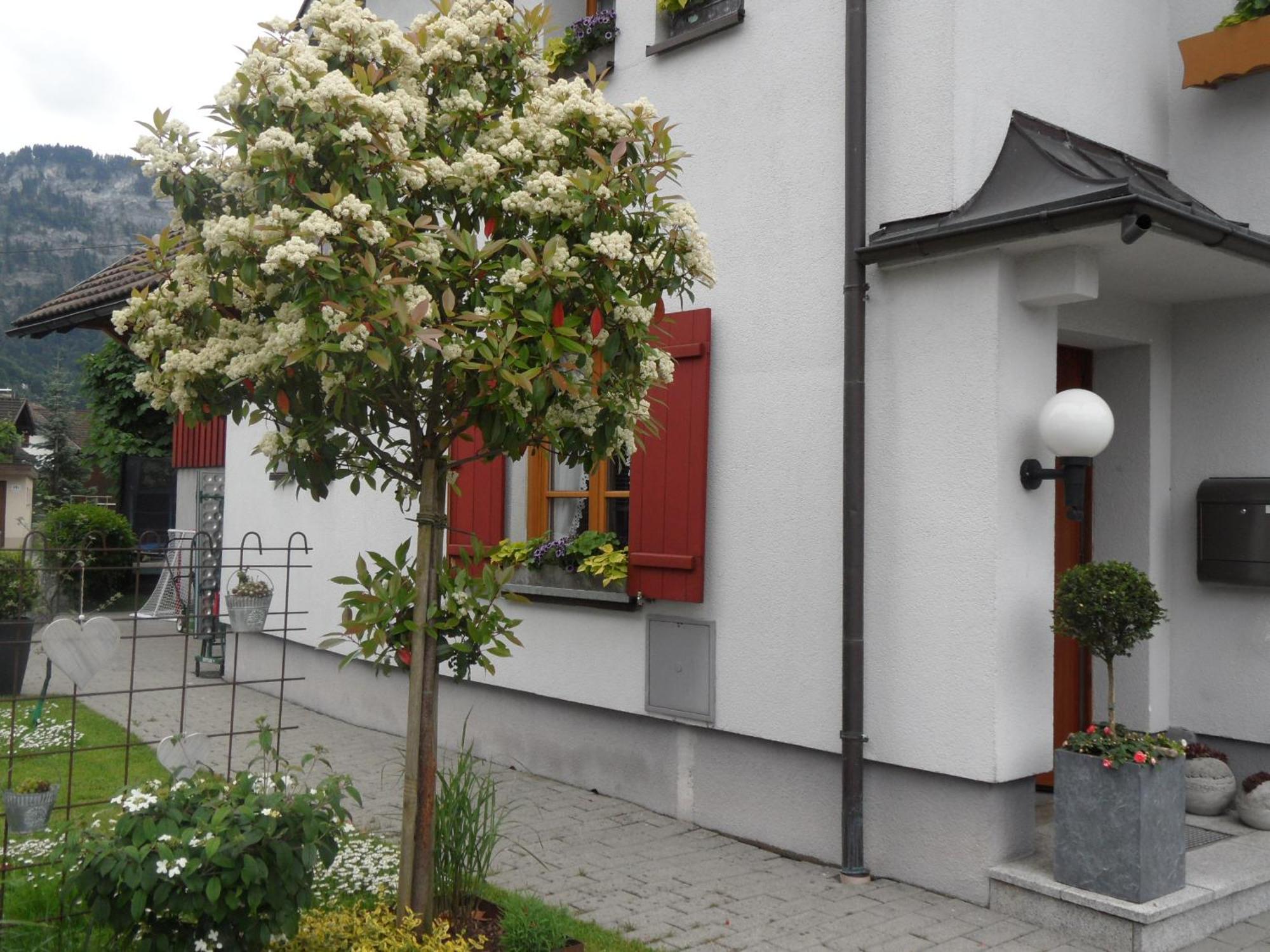 Ferienwohnung Lilly Dornbirn Buitenkant foto